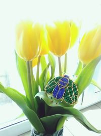 Close-up of honey bee on flower