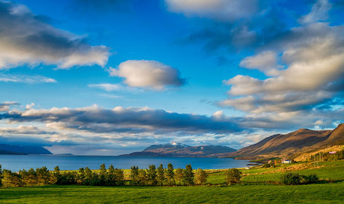 Scenic view of landscape against sky