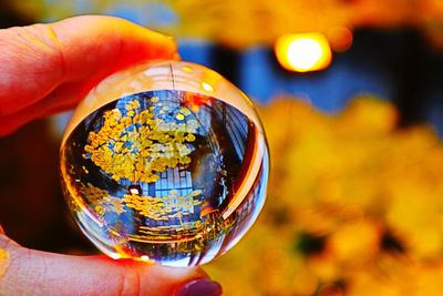 Close-up of hand holding crystal ball