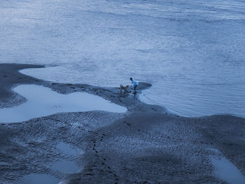 High angle view of man standing at beach