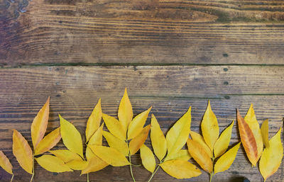 High angle view of yellow leaves on table