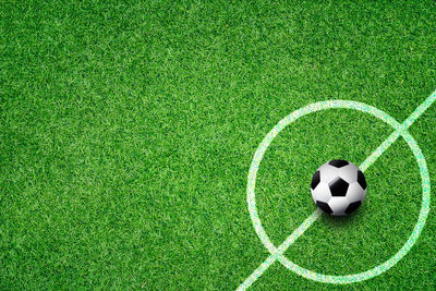 High angle view of soccer ball on grass