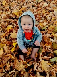 High angle portrait of baby boy sitting on autumn leaves