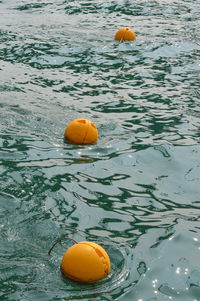 High angle view of orange ball in water