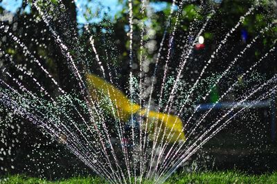 Sprinkler spraying water in garden