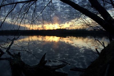 Reflection of trees in lake