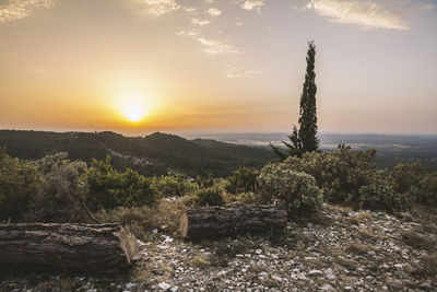 Scenic view of landscape against sky at sunset