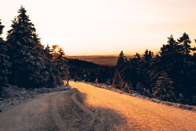 Road amidst trees against sky during sunset