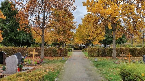 Footpath amidst trees in park during autumn