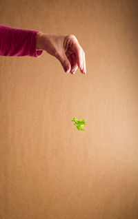 A woman's hand with a little fresh parsley.