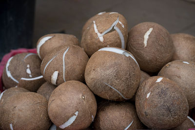 High angle view of coconut on table