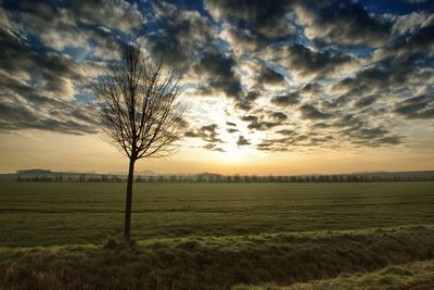 Scenic view of field against sky during sunset