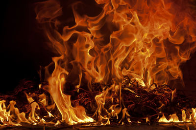 Close-up of fire in the dark