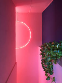 Pink neon sign  interior design photography