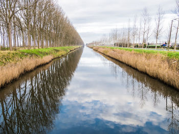 Reflection of trees in lake against sky