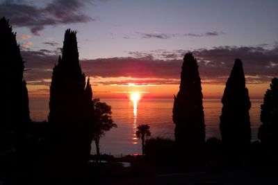 Silhouette trees by sea against sky during sunset