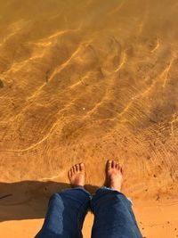 Low section of person standing on shore at beach