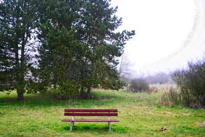 Empty bench on field by trees against sky