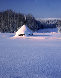 Snow covered field by trees against sky
