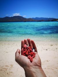 Cropped hand of person holding sea urchins at beach