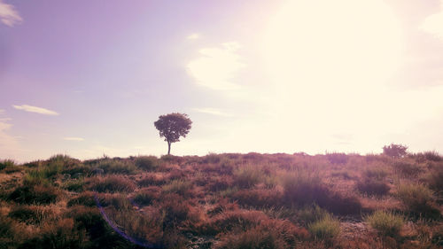 Scenic view of landscape against cloudy sky