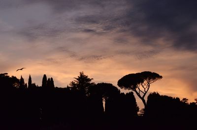 Silhouette trees against sky during sunset