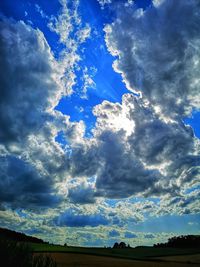 Low angle view of trees against sky