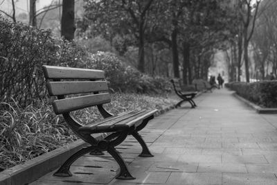 Empty chairs against trees