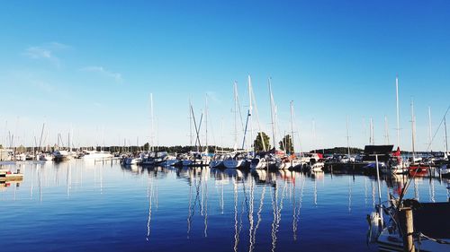 Sailboats moored in harbor