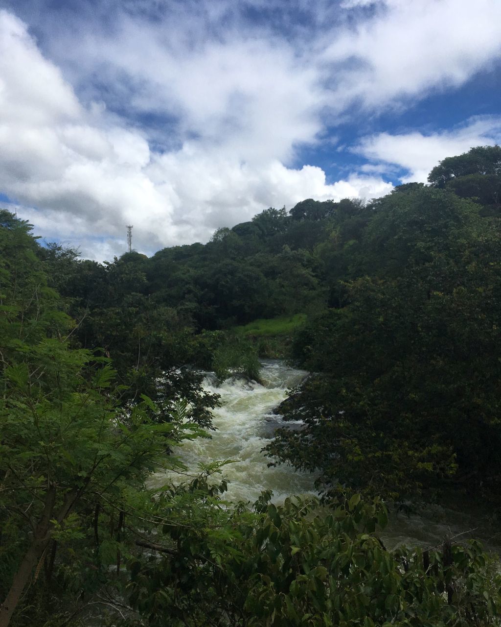 SCENIC VIEW OF TREES AND LANDSCAPE AGAINST SKY