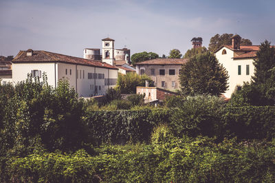 Trees and houses against sky in town