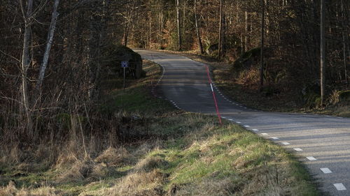 Empty road amidst trees in forest