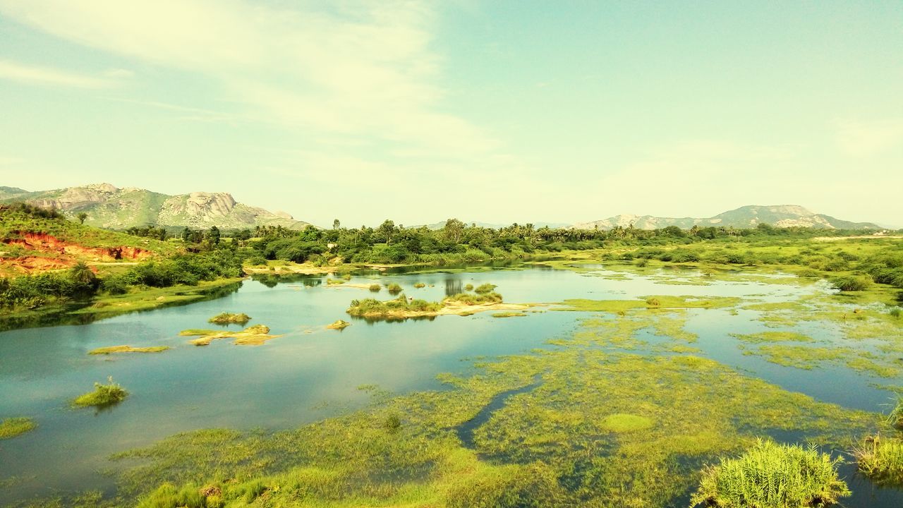 water, tranquil scene, tranquility, scenics, lake, reflection, beauty in nature, mountain, sky, nature, idyllic, blue, landscape, plant, non-urban scene, growth, countryside, day, mountain range, cloud, no people, outdoors, standing water, green color, calm, cloud - sky, grass, majestic, remote, non urban scene, green