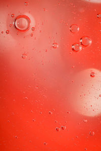 Close-up of water drops on red surface