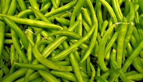 Close-up of fresh green leaves