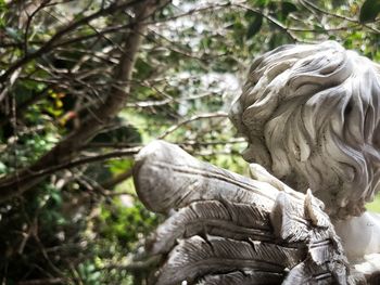 Close-up of statue