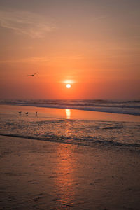 Scenic view of sea against orange sky