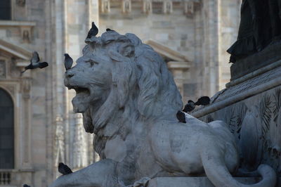 Pigeons on lion statue against building