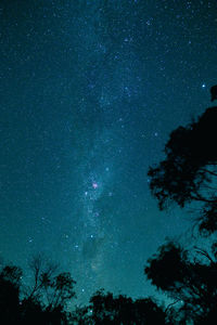 Low angle view of silhouette trees against sky at night