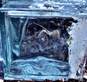 Close-up of glass of water