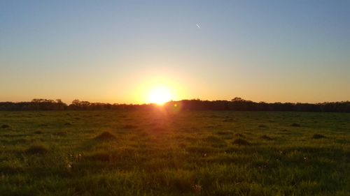 Scenic view of field against clear sky during sunset