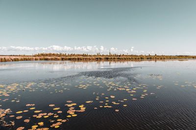 Scenic view of lake against clear sky