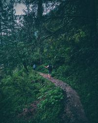 Man walking in forest