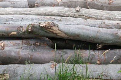 Full frame shot of stone wall