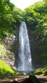 Waterfall in forest