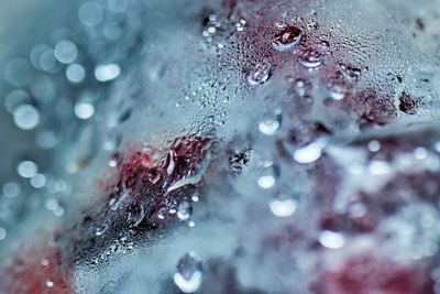 Close-up of raindrops on glass