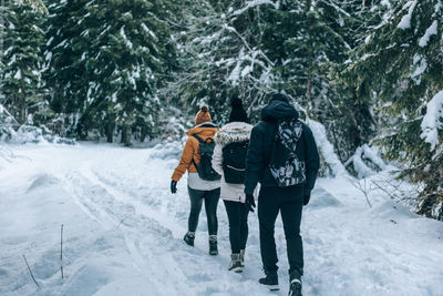 Group of friends hiking on snowy path in forest