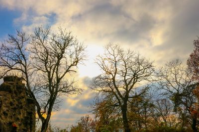 Low angle view of bare trees against sky during sunset