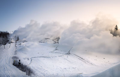 Low angle view of trees against sky during winter