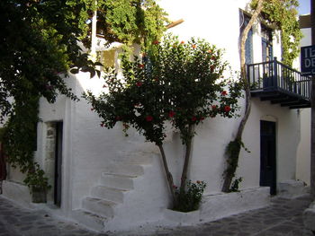 Building with trees in background